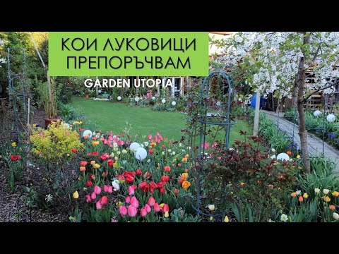 Видео: Какви ЛУКОВИЦИ да садим през есента: #Ден 34 от 90 ДНИ НА СЕЛО