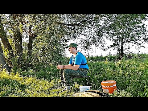 Видео: ПРИЕХАЛ ЛОВИТЬ КАРАСЯ, А ОН...