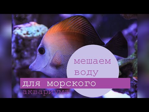 Видео: Морской аквариум как мешать воду с солью