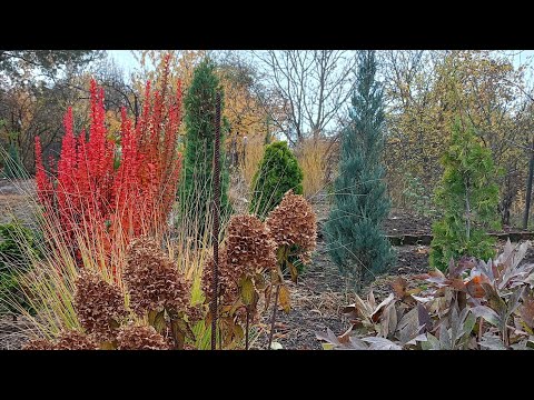Видео: Осінні роботи в саду. Різати,чистити чи залишити?