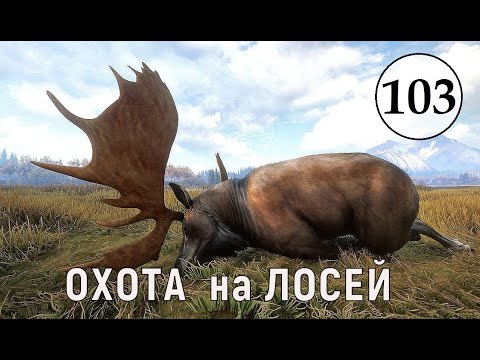 Видео: TheHunter Call of the Wild - ОХОТА на ЛОСЕЙ - Много Крупных ЛОСЕЙ # 103