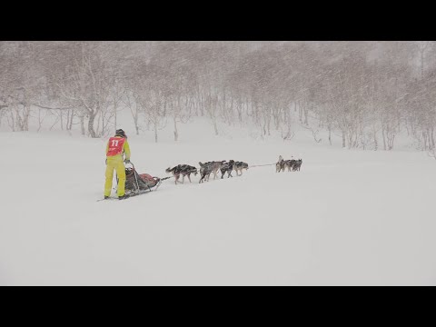 Видео: Новый каюр Берингии - 2023
