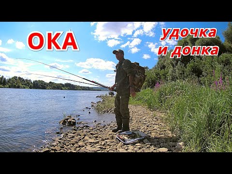 Видео: Рыбалка в новом месте. Горох и пшеница на Оке.