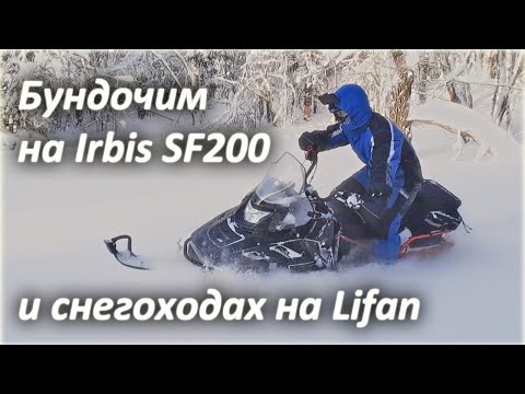 Видео: На снегоходах в тайгу! SF200 Irbis горный снегоход?:-) @Димониус-Борода   и  @VitaliySkorobogatskiy