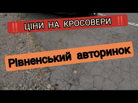 Видео: ЦІНИ НА КРОСОВЕРИ ‼️ РІВНЕНСЬКИЙ АВТОРИНОК ‼️14.09.2024📆