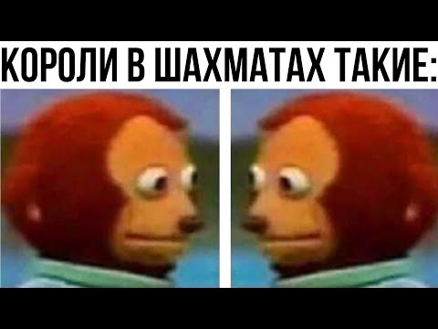 Видео: Шахматные Мемы | Озвучка Мемов | Мемы про Шахматы