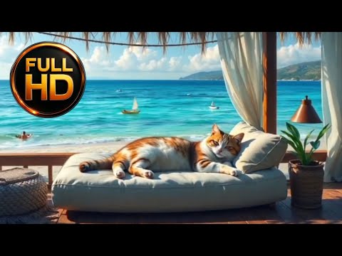 Видео: Лаунж у океана с котиком 🌊 | Ocean Lounge with Cat 🌊