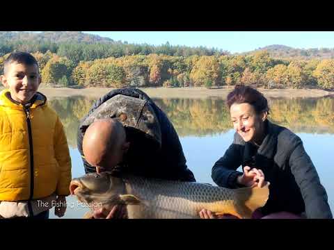 Видео: Наслука или късмет! Трофейните шарани на Midalidare Lake - тест на трипода Rage Carbon - Beast 