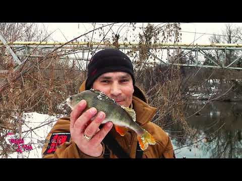 Видео: Как выбрать недорогой спиннинг для ультралайта: обзор Crazy Fish Inspire