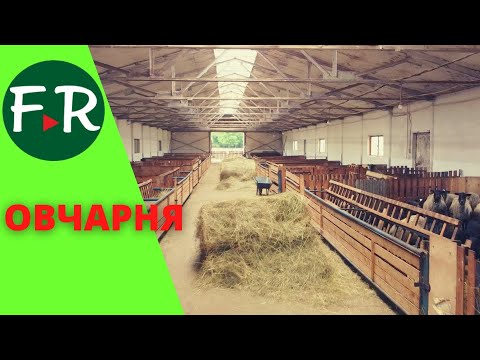 Видео: Овчарня. Романовские овцы с ягнятами. Работа зоотехника в хозяйстве OOO Романовское