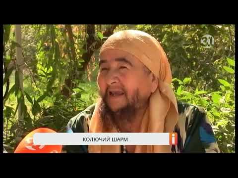 Видео: Бородатая женщина не решается сбрить растительность на лице под страхом смерти