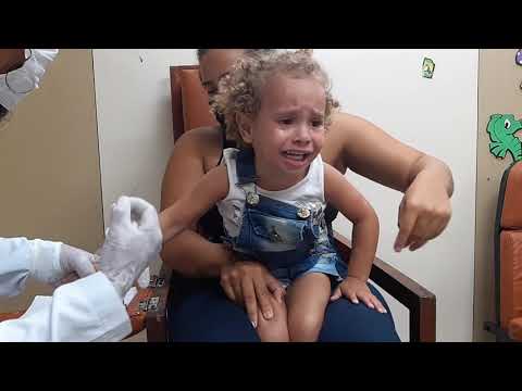 Видео: Sofia. Coleta de sangue.جمع الدم. Kan toplama . Сбор крови. 採血.रक्त संग्रह. Blood Collection.