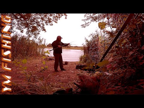 Видео: Рыбалка с ночевкой на реке Рось. YM fishing