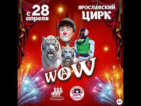 Видео: цирковое Шоу WOW 1 отделение в Ярославском цирке