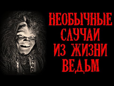 Видео: Необычные случаи из жизни Ведьм (3в1)
