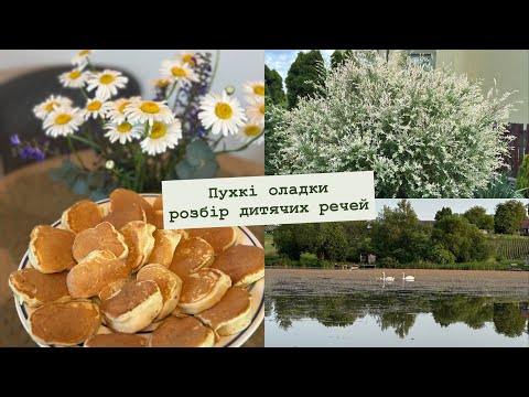 Видео: |🧺Мотивація на розбір шафи👗| Пухкі оладки🥞| 🦢Відпочинок за містом🌾|