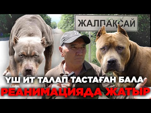 Видео: ҮШ ИТ ТАЛАП ТАСТАҒАН БАЛА РЕАНИМАЦИЯДА ЖАТЫР