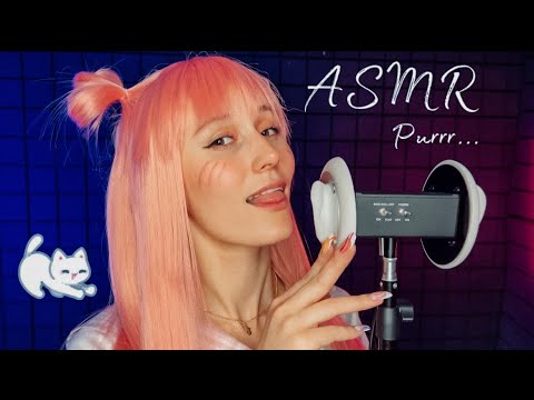 Видео: АСМР🐈 Мурчу с ушка на ушко✨ASMR 🐈 Cat Purr🐱