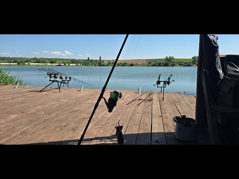 Видео: Суточная рыбалка на водоёме УТАШ