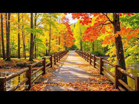 Видео: Красивая расслабляющая музыка 🍁 Осенние мелодии для снятия стресса и исцеления №2