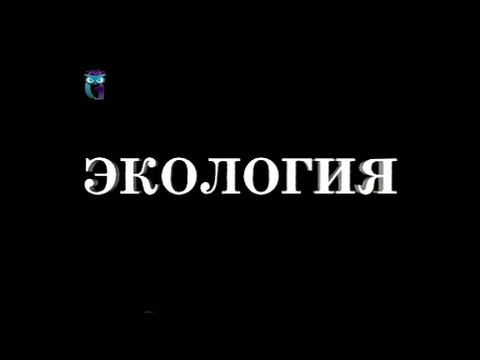Видео: Экология
