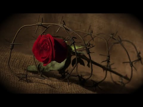 Видео: Что у Него с Ней 🏡 Что у Него к Вам 🤔