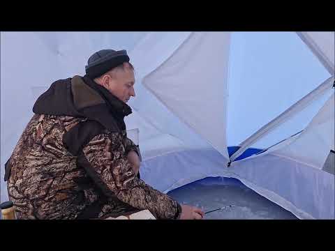 Видео: Рыбалка на Весёловском водохранилище 2024. Маныч раздаёт...