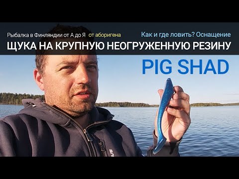 Видео: Ловля щуки на крупную неогруженную резину. Strike Pro -  Pig Shad.  Tехника проводки  - оснащение