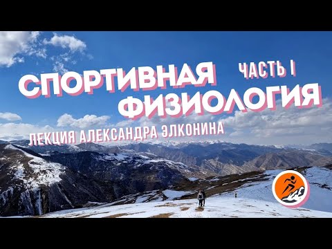Видео: Спортивная физиология | первая часть | Лекция Александра Элконина [21.03.2022]