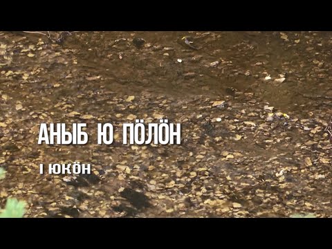 Видео: Экспедиция «Аныб ю пöлöн». Часть1. 30.01.21