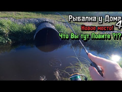 Видео: Рыбалка у Дома 4 | Новое место! | Что Вы тут ловите?!?