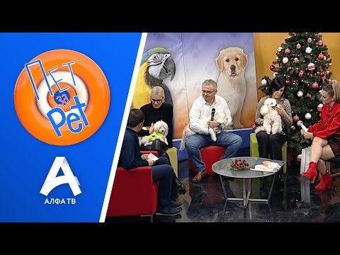 Видео: ПЕТ ЗА PET | Миа Костова, Ивце Пивце и Ани Малинкова