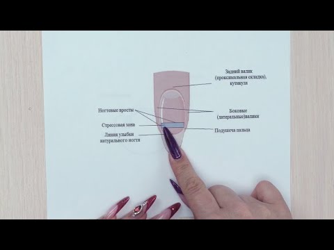 Видео: ЭТО ДОЛЖЕН ЗНАТЬ КАЖДЫЙ МАСТЕР МАНИКЮРА! Строение ногтя