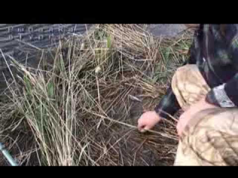 Видео: Рыбалка в Тургае 24-28.05.11