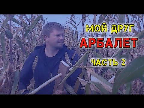 Видео: Мой друг Арбалет - 2. Как добыть еду и воду. Выживание