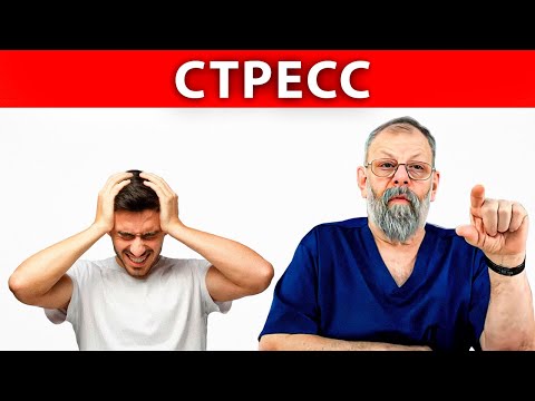 Видео: Как избавиться от стресса? Доктор медицинских наук.