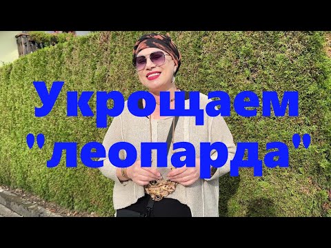 Видео: VLOG#168 Как носить леопардовый принт взрослым девочкам. Какие цвета сочетаются с "леопардом"?