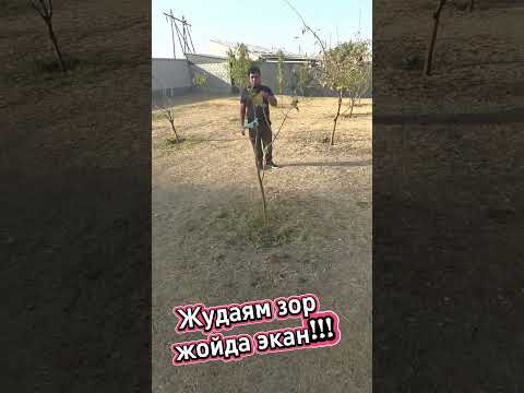 Видео: 20 октября 2025 г.