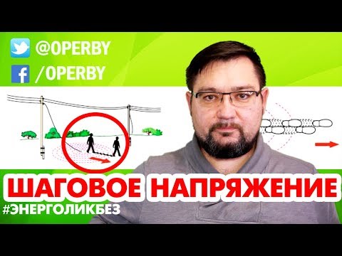 Видео: Шаговое напряжение. Чем опасно? И как выходить из зоны. #энерголикбез