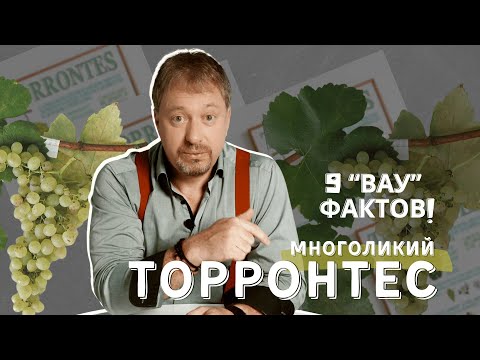 Видео: Сорт винограда [ТОРРОНТЕС ] - 9 "вау"-фактов