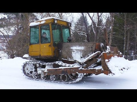 Видео: Едем к телкам на ДТ 75 толкать навоз