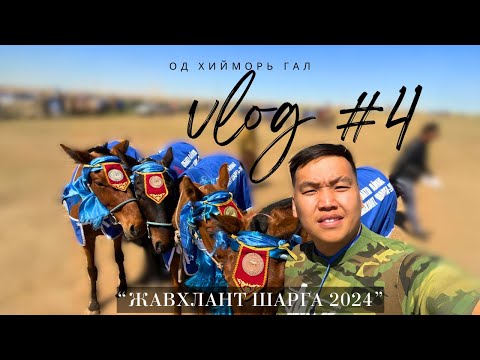 Видео: VLOG #4 Жавхлант шарга