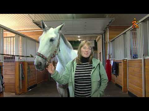 Видео: Спортивная Коломна выпуск от 12.10.2022