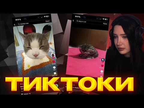 Видео: МОРФИЛИНА СМОТРИТ: ТИКТОКИ I ТИКТОК