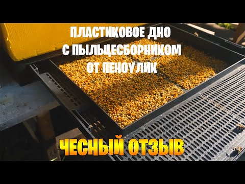 Видео: Пластиковое дно с пыльцесборником от Пеноулик. Честный отзыв