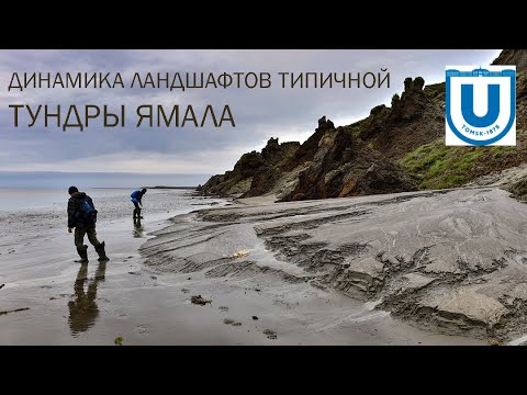 Видео: Динамика ландшафтов типичной тундры восточного побережья Ямала у поселка Сё-Яха