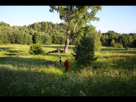 Видео: Поход до Уромской долины-лошади, известная сосна и сказочные холмы