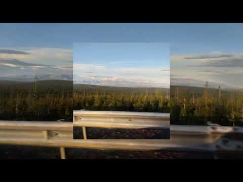 Видео: Чёрная - Алёна Швец. (cover by ostrushka)