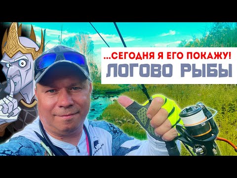 Видео: 🔥100% Найдёшь ОКУНЁВЫЙ РАЙ! Пулемётный Клёв гарантирован! #мормышинг в Диких местах!
