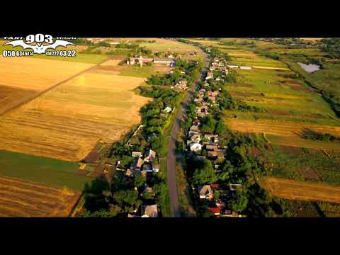 Видео: Балаклея. Вишневое. 16.08.2021